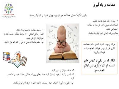 مشاوره دانشجویی