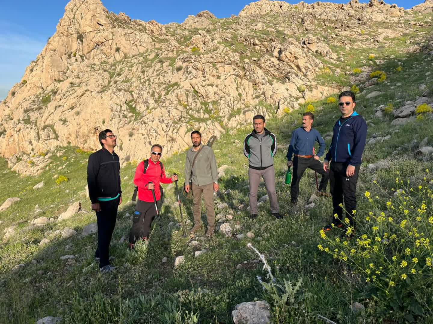 کوه پیمایی