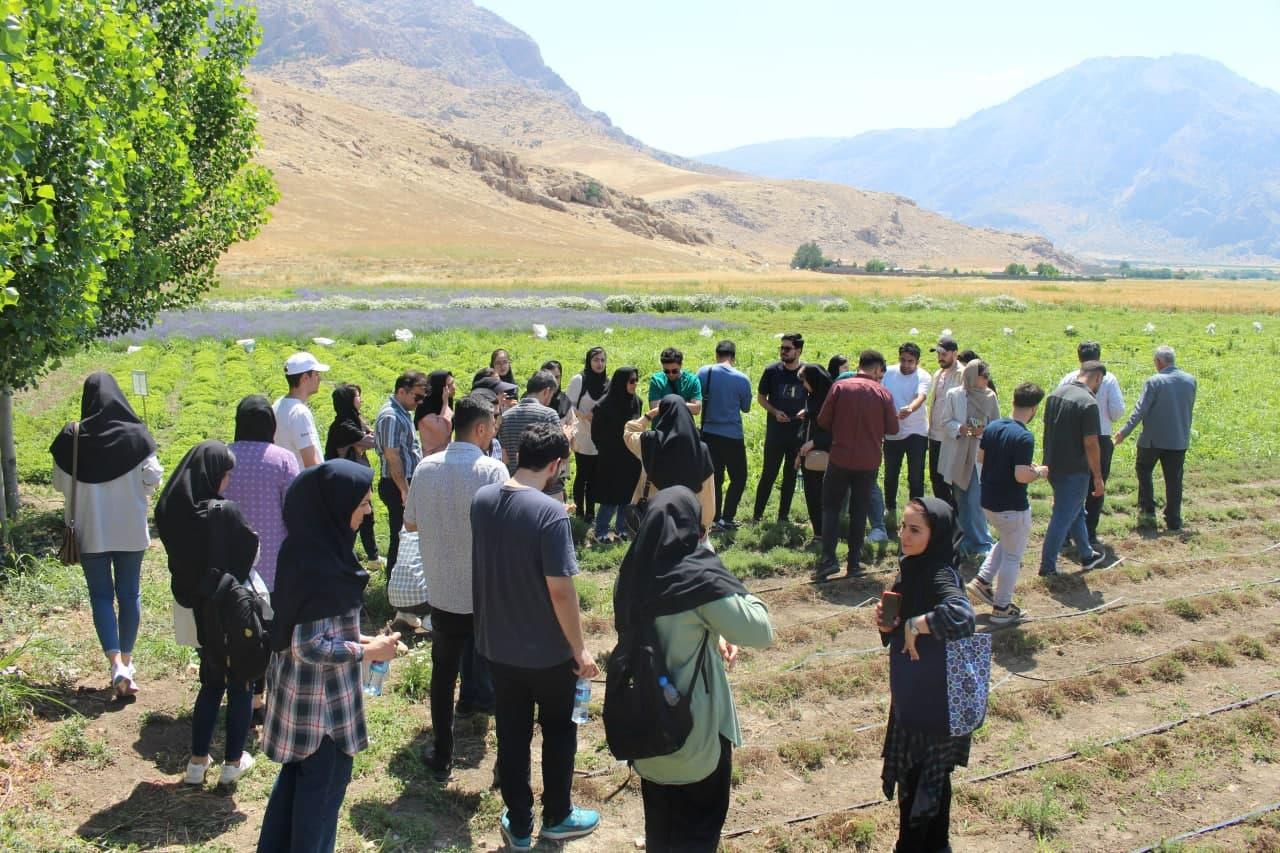 بازدید دانشجویان از مزرعه گیاهان دارویی