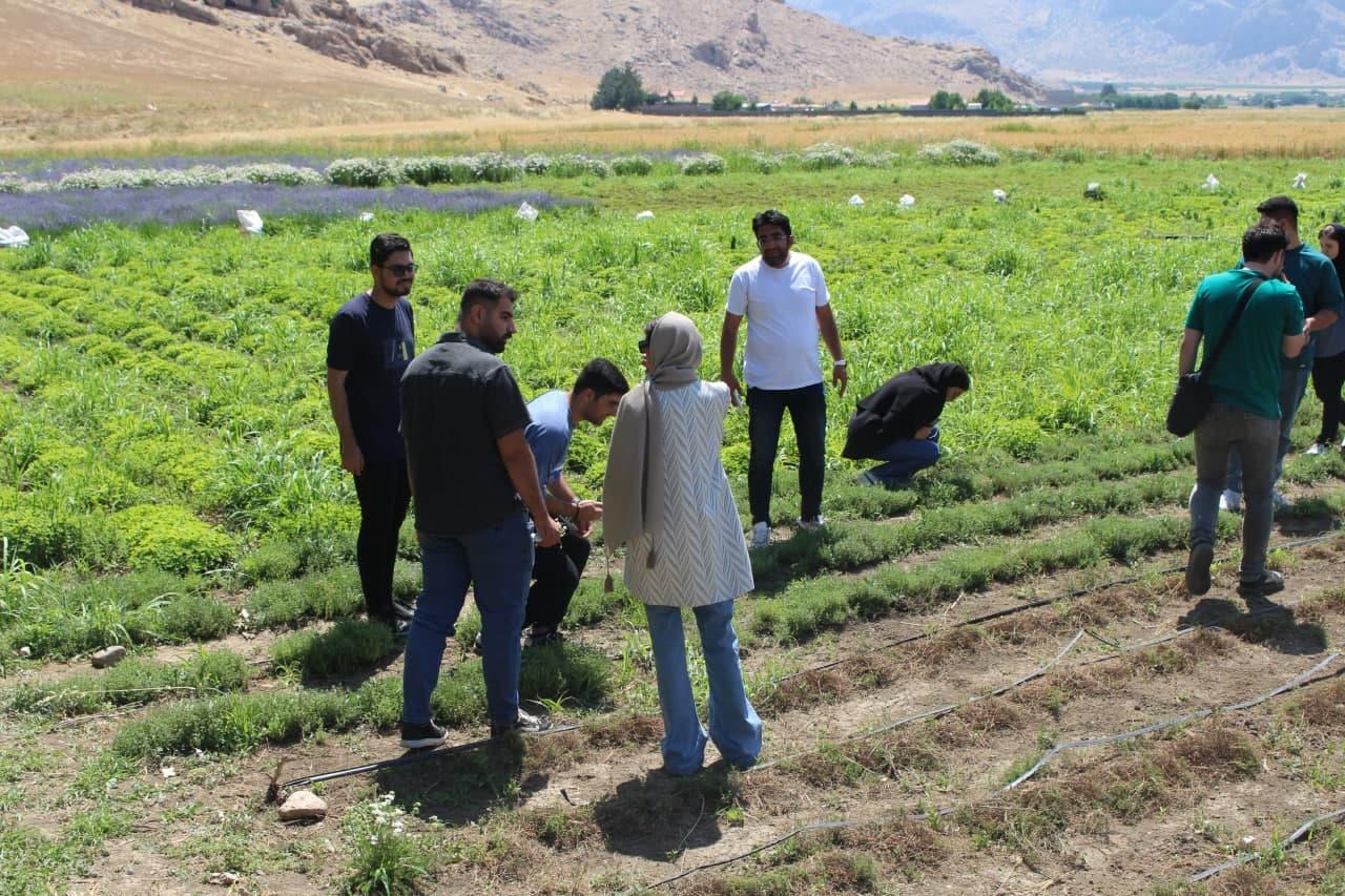 بازدید دانشجویان از مزرعه گیاهان دارویی