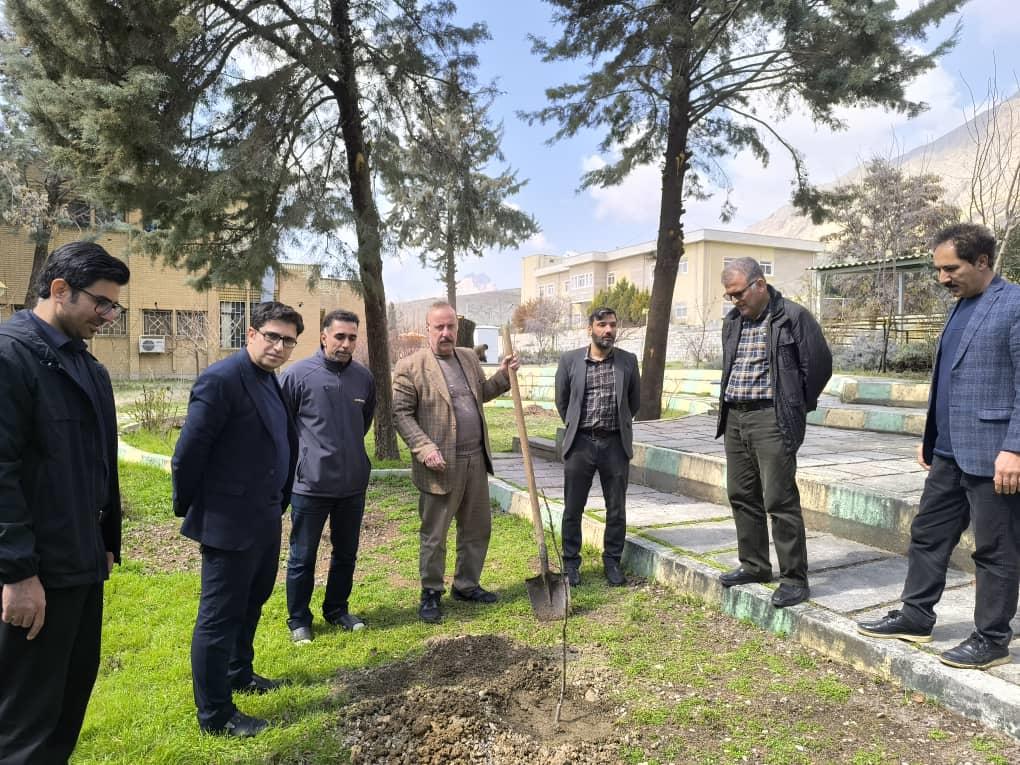 روز درختکاری