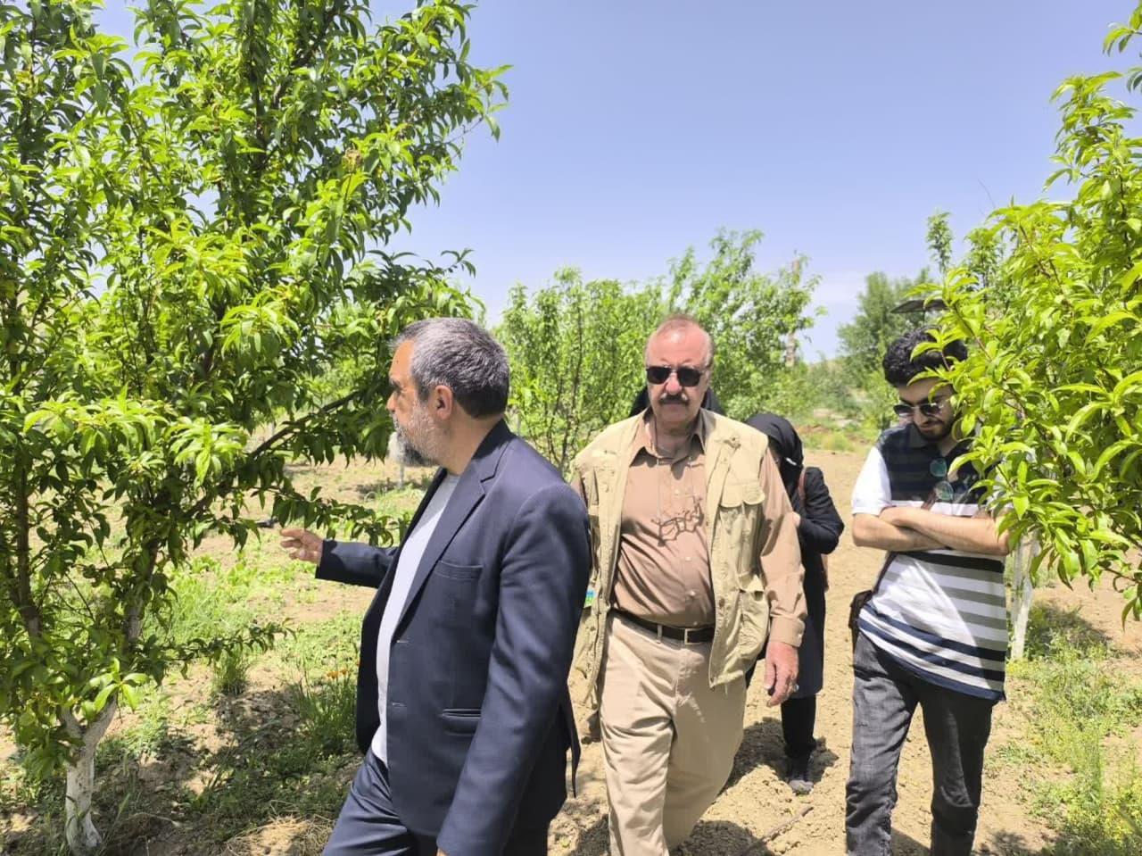 بازدید گیاهان دارویی